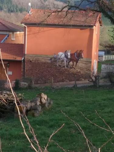Saint-Bonnet-les-Oules House | La vache sur le toit
