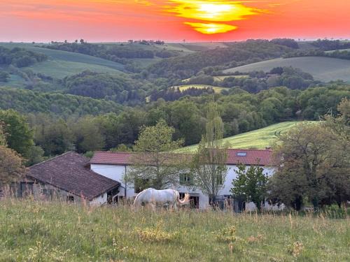 Mont-Roc Bed & Breakfast | La-Vialette Chambres d Hôtes