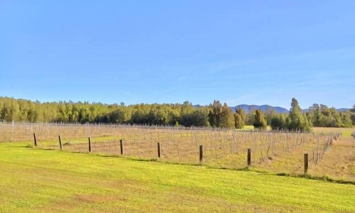 Pokolbin House | La Vigna Function and Wedding Accommodation the whole vineyard sleeps up to 40