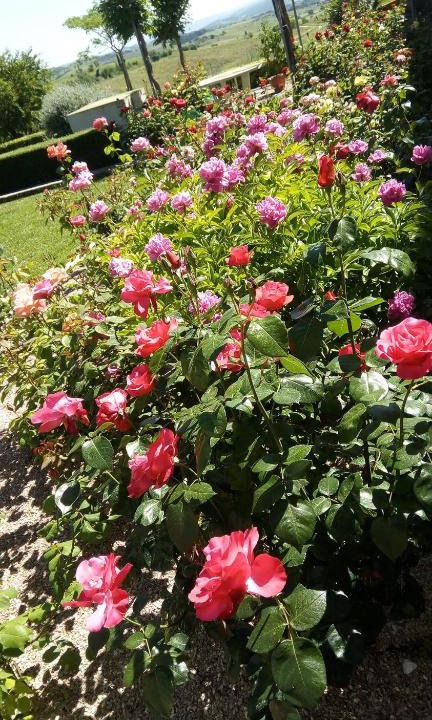 Villelongue-d'Aude Bed & Breakfast | La Vigneronne