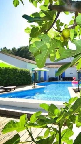 Bize-Minervois Bed & Breakfast | La Villa Du Menhir Chambre d'hôtes