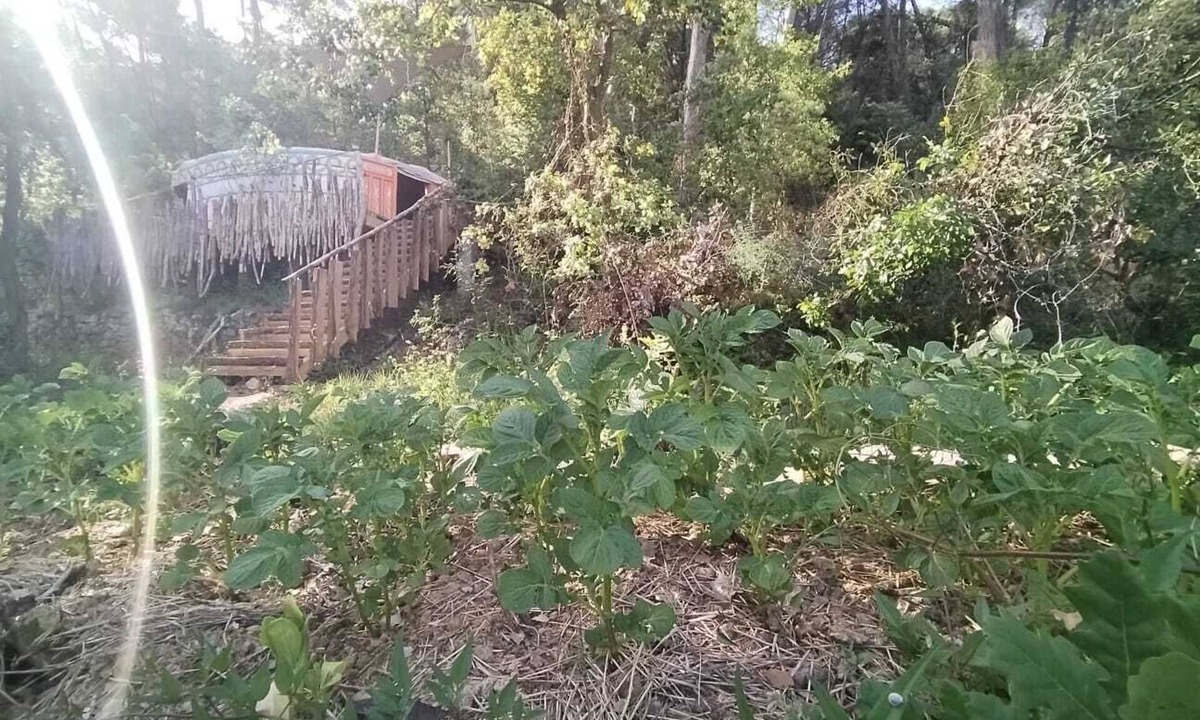 Salernes Cabin | La Yourte du P'tit Mas