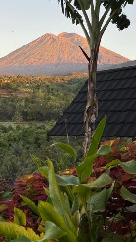 Lombok House | Laa Cabana Lombok Glamping