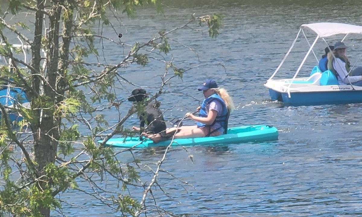 Stewartstown RV Rental | Ladd Pond Cabins and Campground