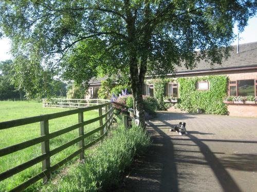 Congleton Bed & Breakfast | Ladderstile Retreat