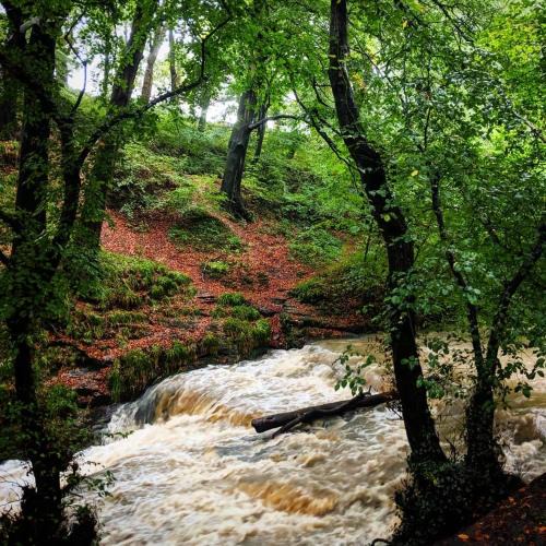 Seaton Sluice Apartment | Lady Rhoda