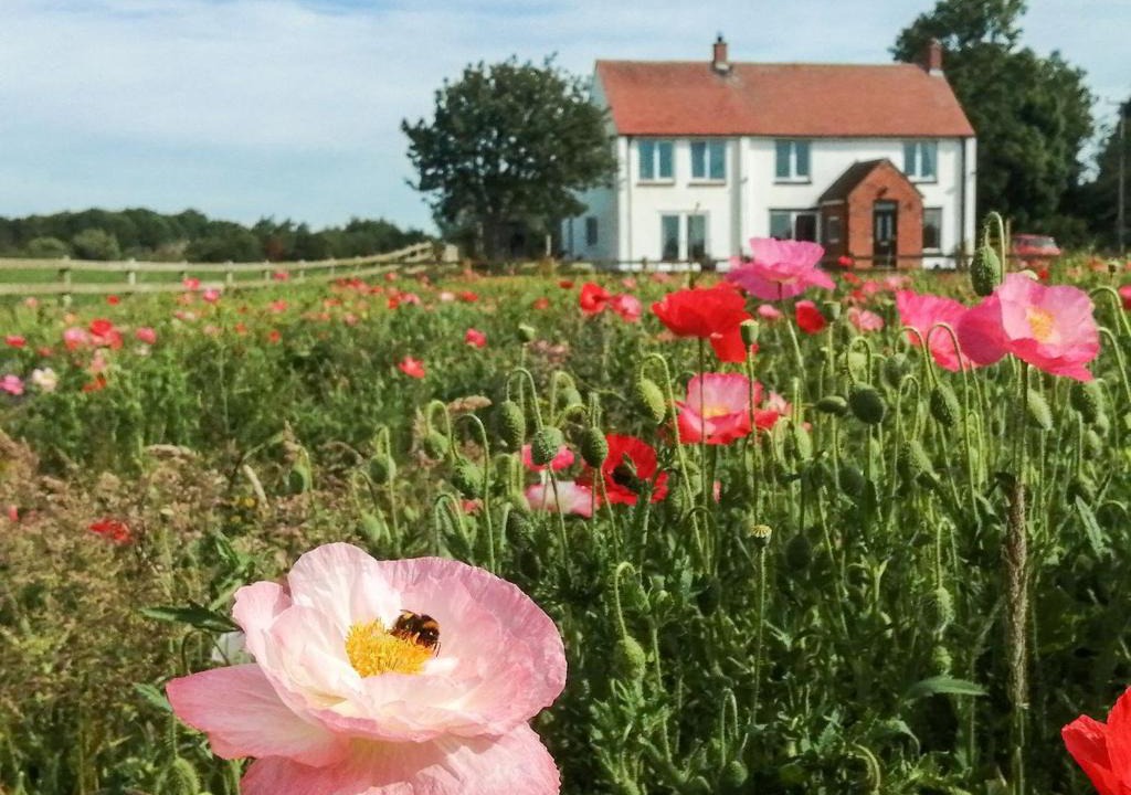 Arnold House | Ladysmith