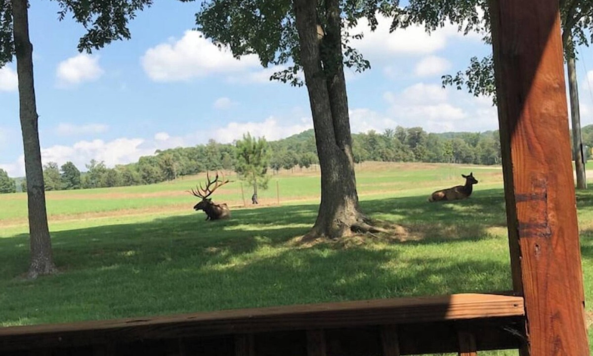 Stilwell House | Lake Cabin in Wildlife Preserve
