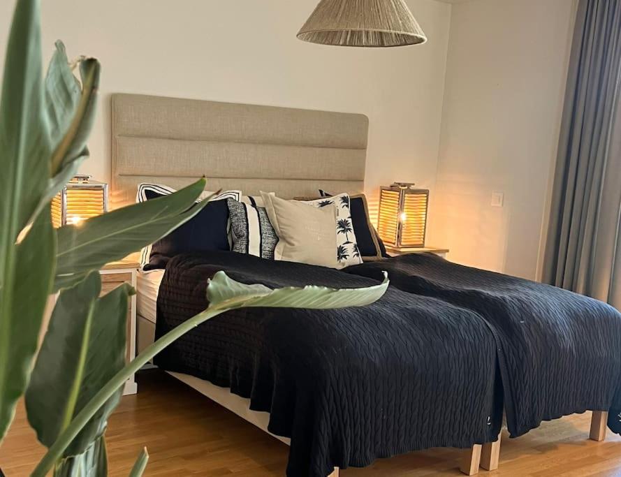 Tagerwilen Apartment | Lake Constance Apartment