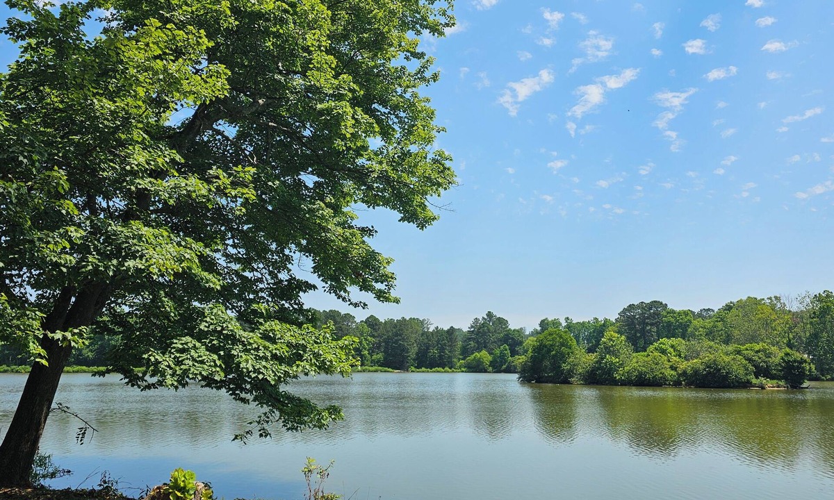 Tunnel Hill Cabin | Lake Escape waterfront cabin