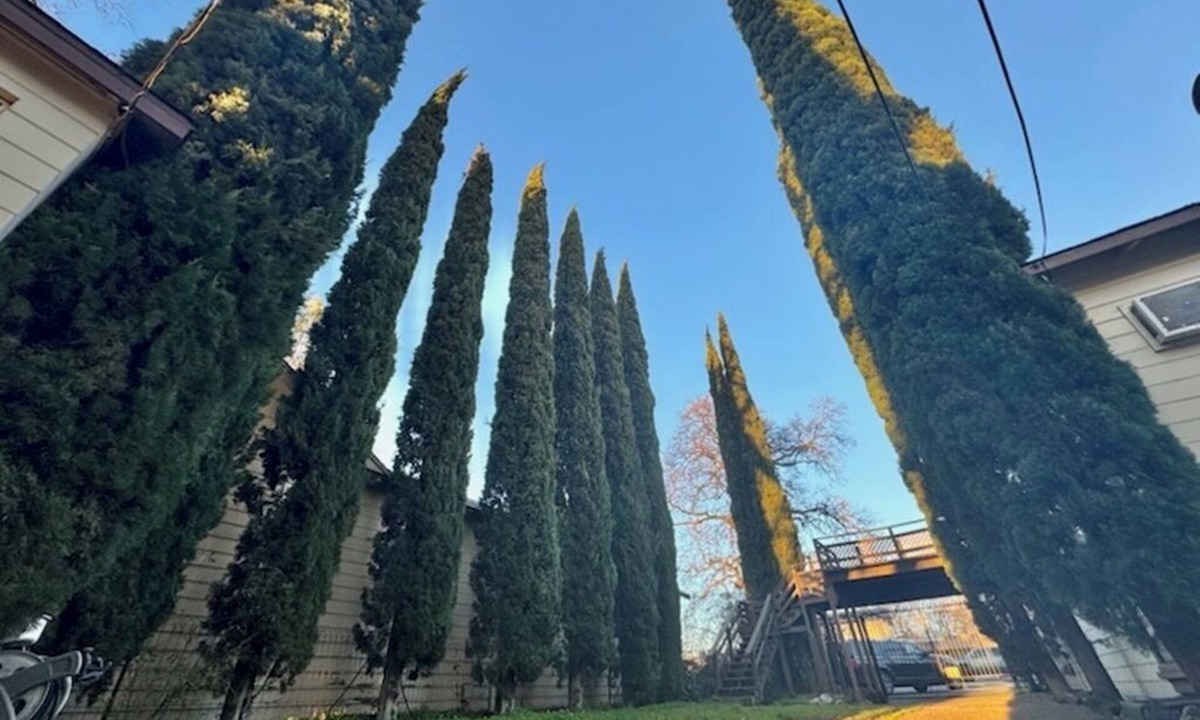 Clearlake Apartment | Lake front unit #6 right by the water