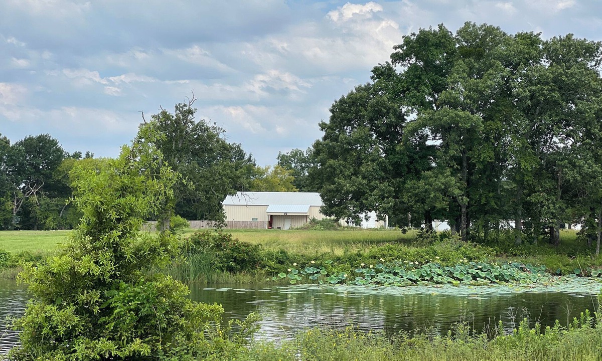 Alba House | Lake house off of Lake Fork, one of the best bass fishing lakes in the country!