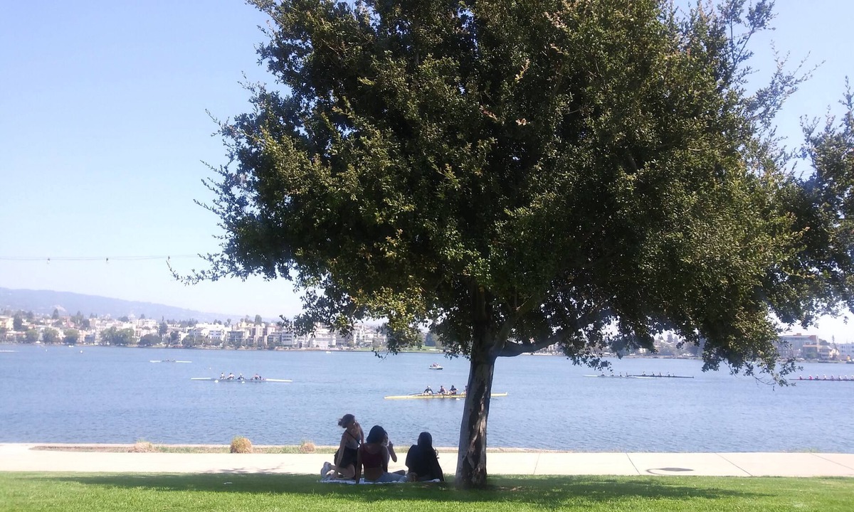 Grand Lake Apartment | LAKE MERRITT STUDIO # 3 Great location & Value