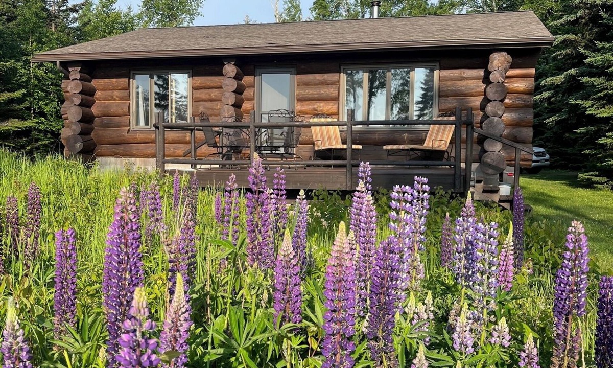 Silver Bay Cabin | Lake Superior lakefront log cabin, forest, sauna, gazebo, peaceful retreat