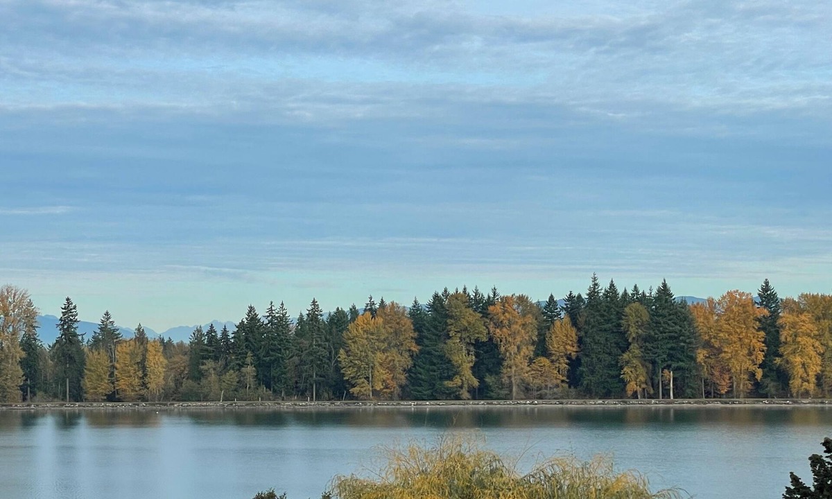 Bonney Lake Apartment | Lake Tapps 2bdrm NEW Apt View of Lake Lake access to 2 waterfront parks & Launch