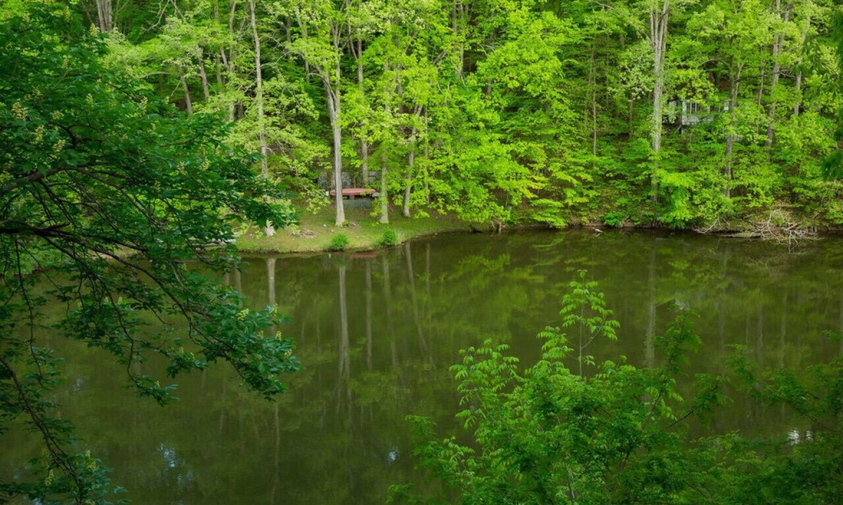Martinsville House | Lakefont-Nestled in Nirvana