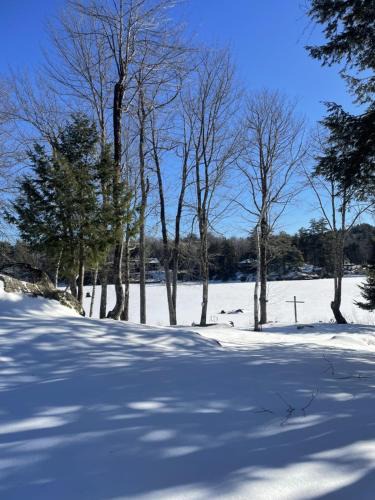 Stoddard House | Lakefront Cabin 314 Shoreline