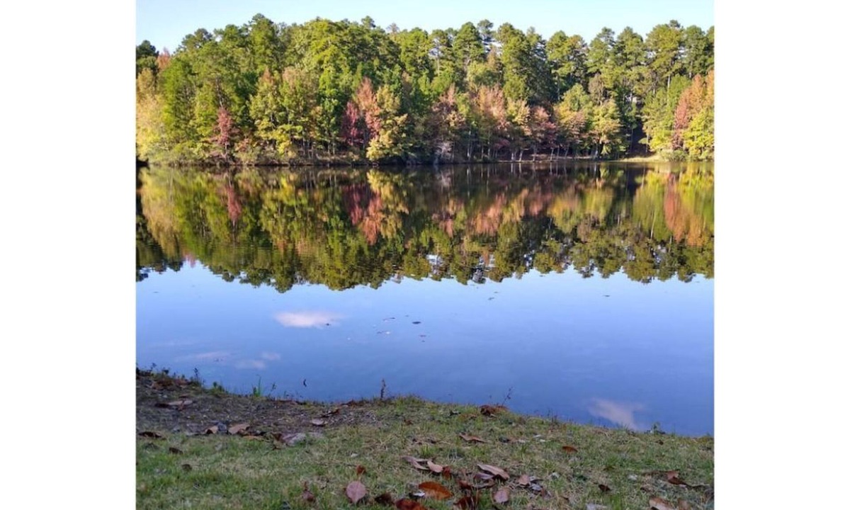 Hot Springs Village Bed & Breakfast | Lakefront Condo/Apartment On Beautiful Segovia Lake!