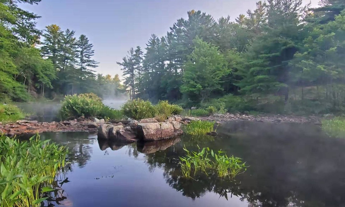 Broadbent Cottage | Lakefront Hideaway w/Private Beach + Dock | Parry Sound