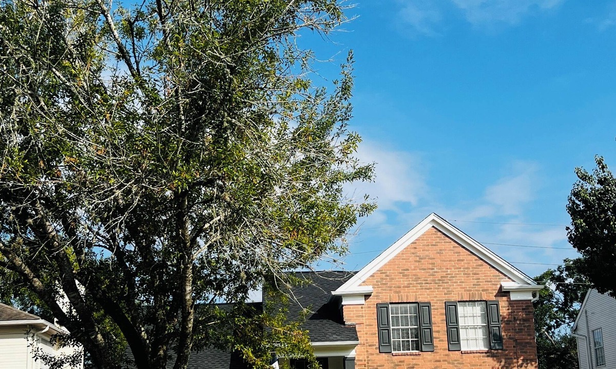 Missouri City House | Lakefront home with Pool & Hot Tub - Completed renovated - All new Interiors.