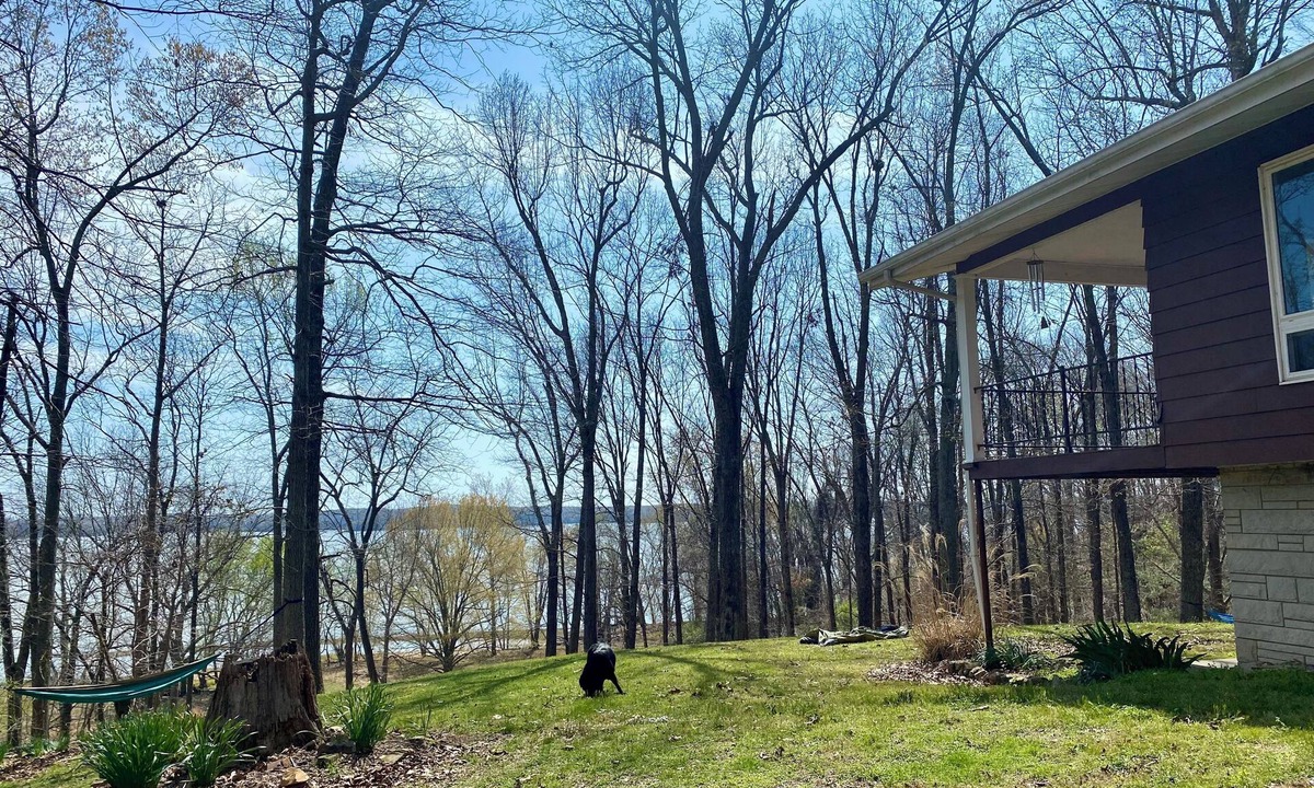 Kuttawa House | Lakefront Lake Barkley- Renovated Nature Retreat