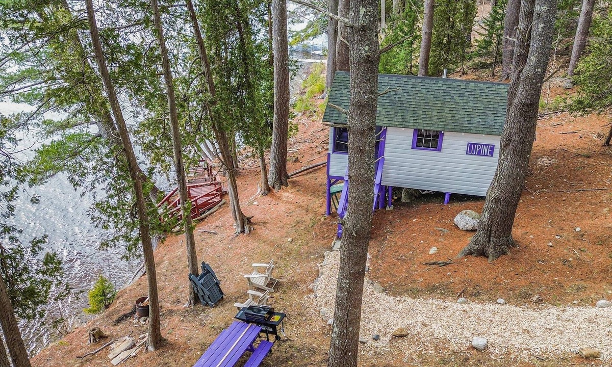 Orland Cabin | Lakefront Lupine Tiny Cabin @ Getogether Stays