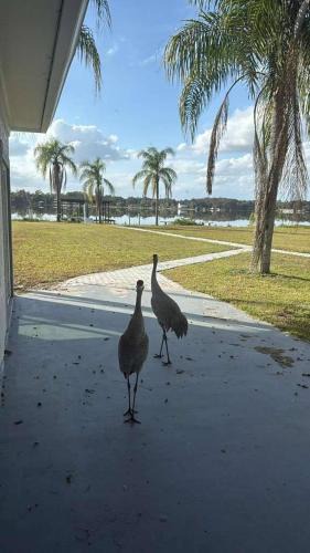 Pine Castle House | Lakefront Luxury w Private Dock Sunrises
