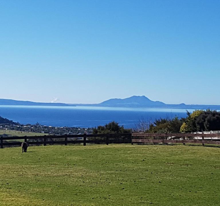 Omori Apartment | Lakeview Studio Cabin