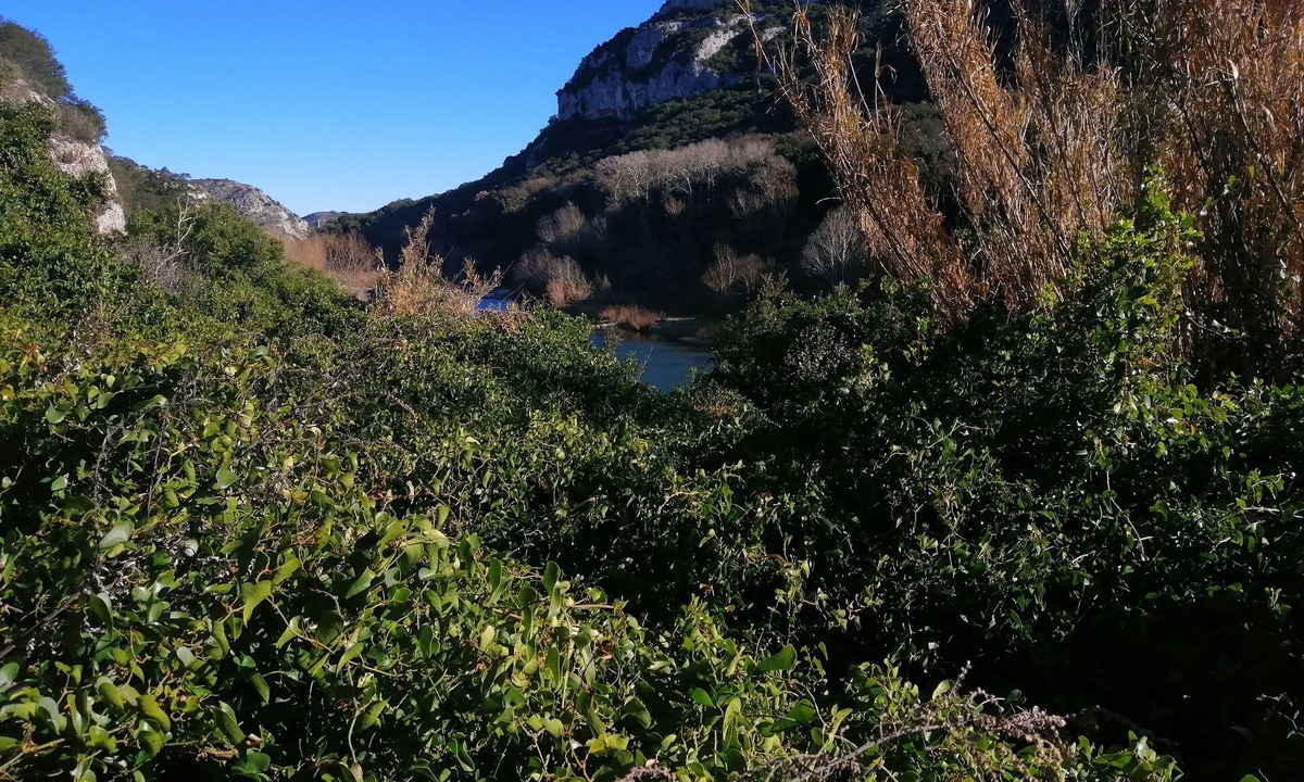 Notre-Dame-de-la-Rouviere Apartment | Lamedoune, apartment with swimming pool in the heart of the southern Cévennes