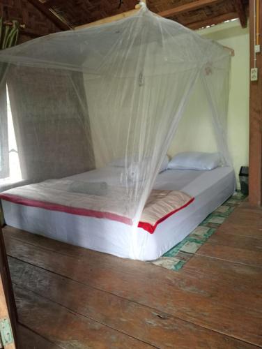 Bohorok House | Landak River Guest House Jungle Trekking Only Booking with Us
