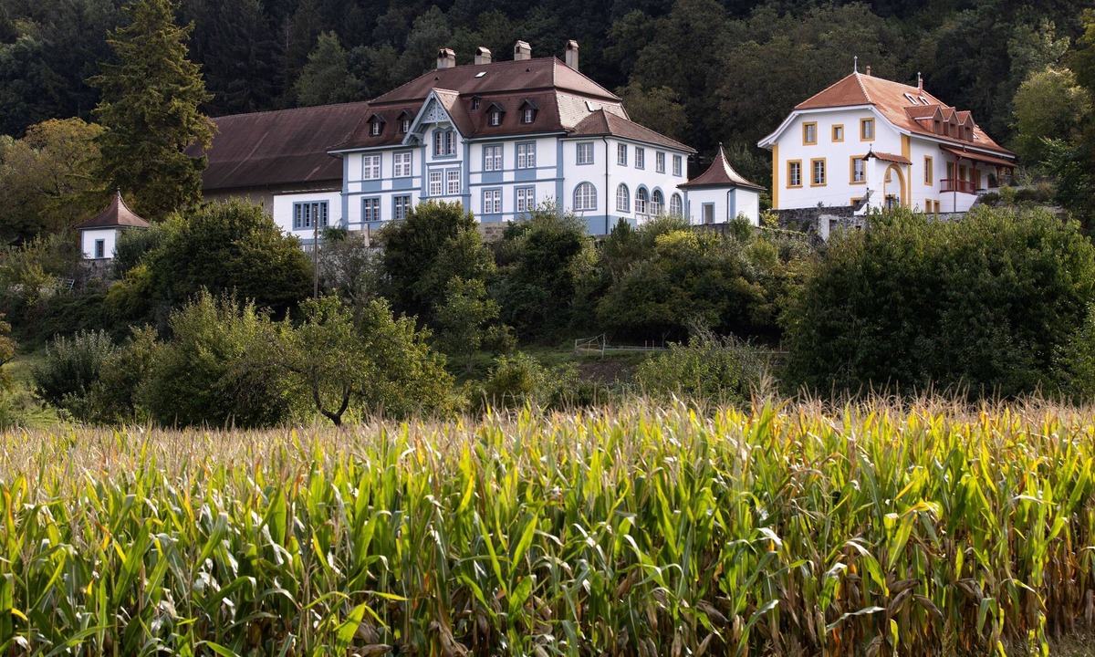 Marnand Other | Landgut Château de Marnand - Hot-air balloon studio