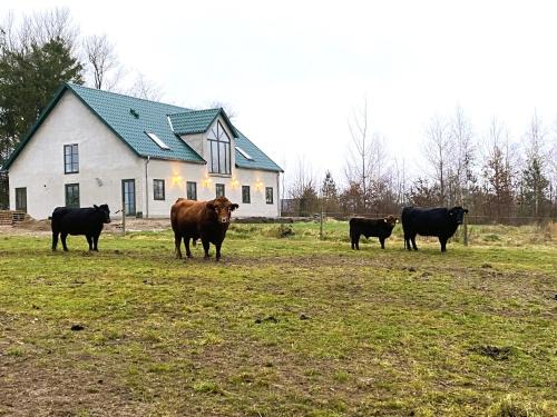 Viby Apartment | Landstedet