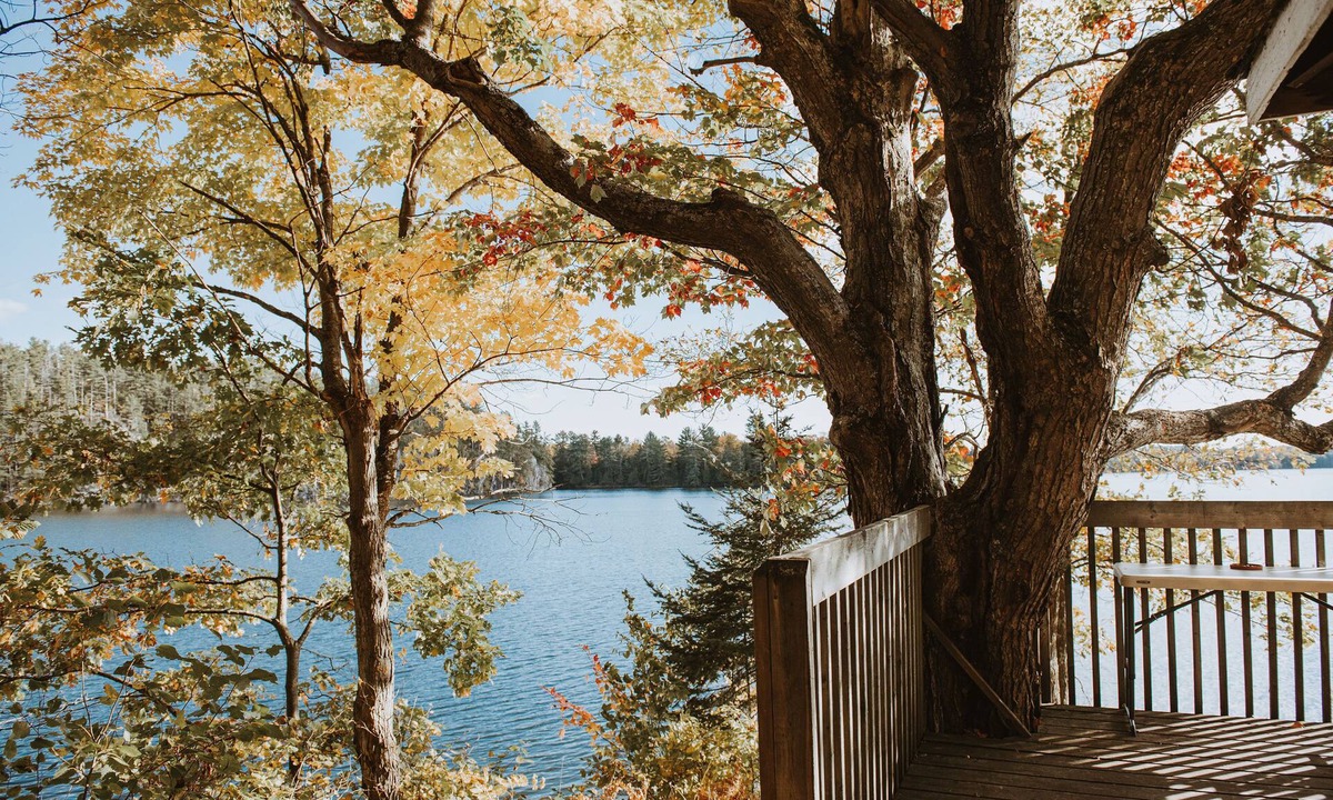 Willisville Cottage | Lang Lake Resort