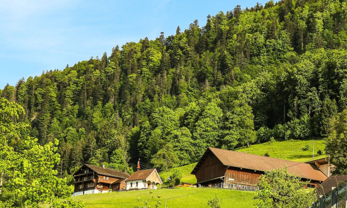 Lauerz Other | Langberg organic farm with a wonderful view