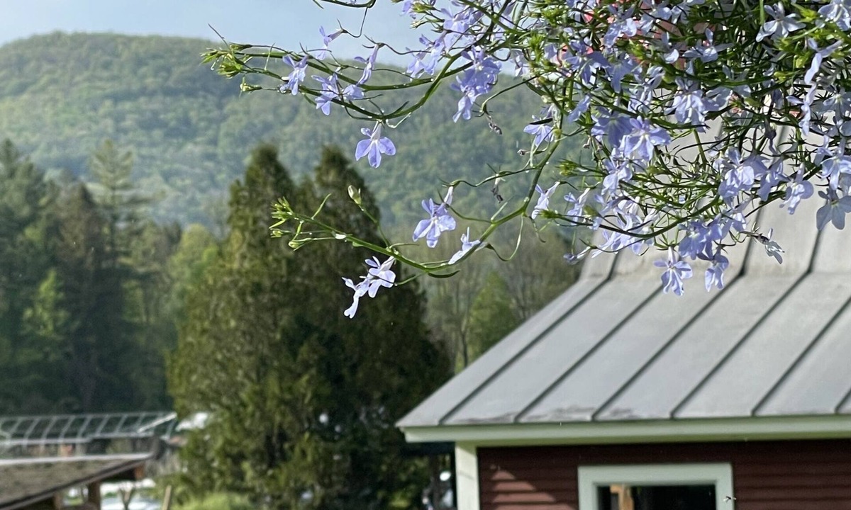 Waitsfield Bed & Breakfast | Lareau Farm Inn