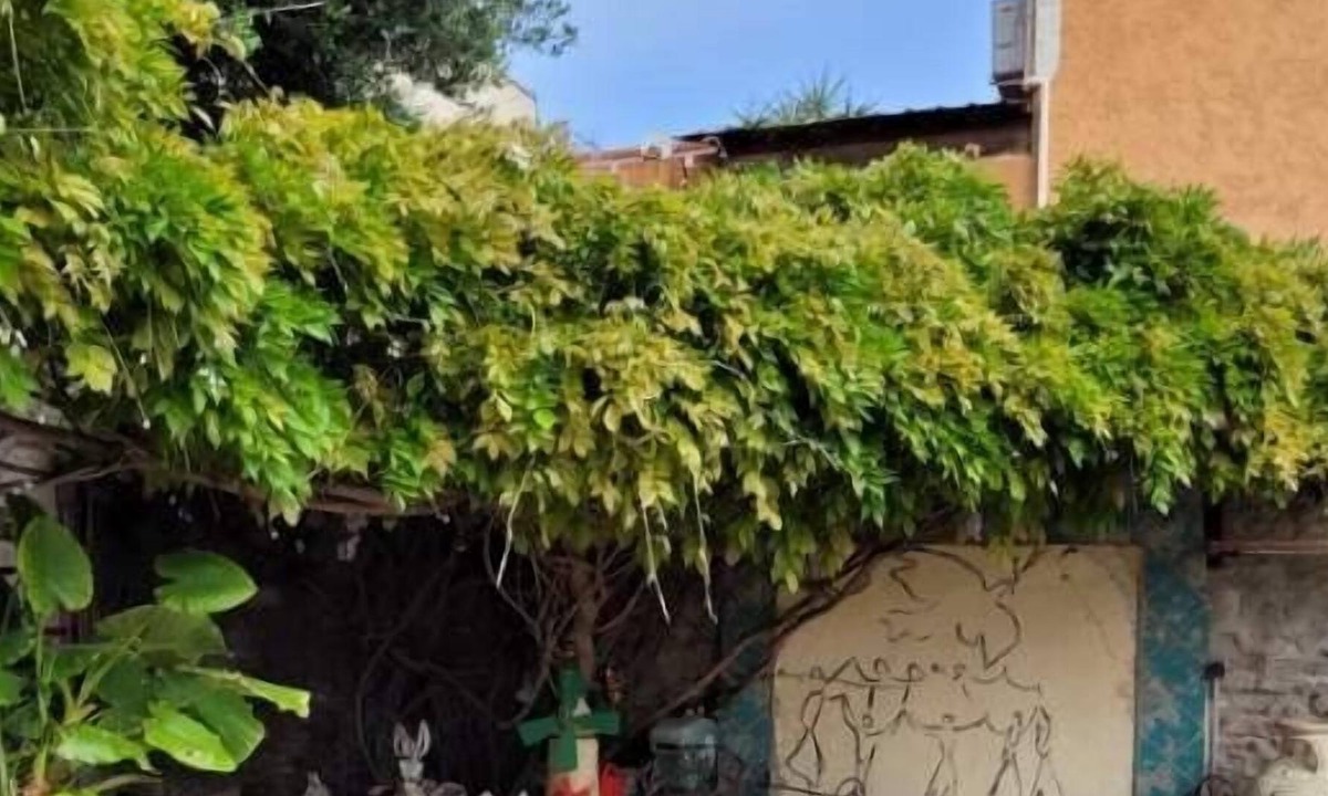 Villelongue-de-la-Salanque House | Large air-conditioned building 12pers private pool and large terrace