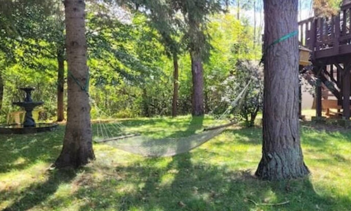 Clearview Township Apartment | Large 1-BR - Year Round Cozy, Quiet Retreat
