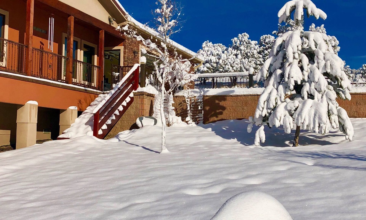 Ruidoso Cabin | Large downstairs rental.1 bedroom.Full size kitchen.walk in shower No sharing