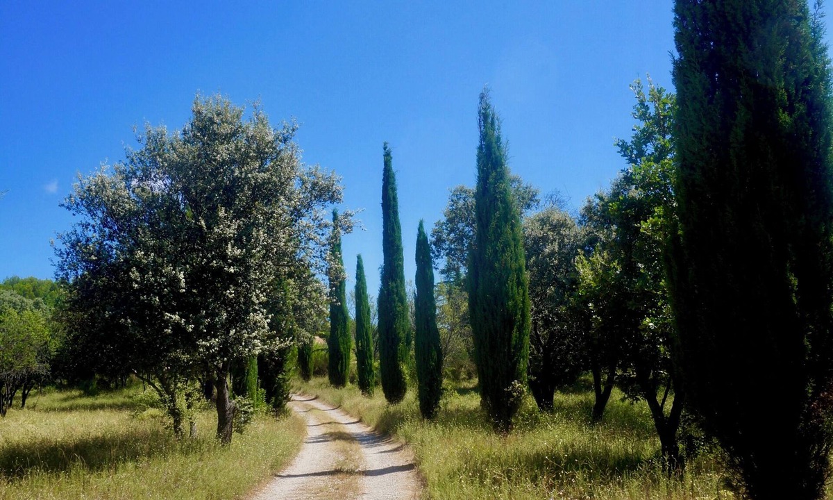 Puget House | Large family home in the countryside with private pool at the foot of the Luberon mountains
