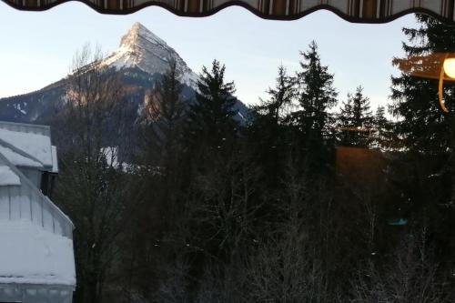 Saint-Pierre-de-Chartreuse Apartment | Large south-facing studio