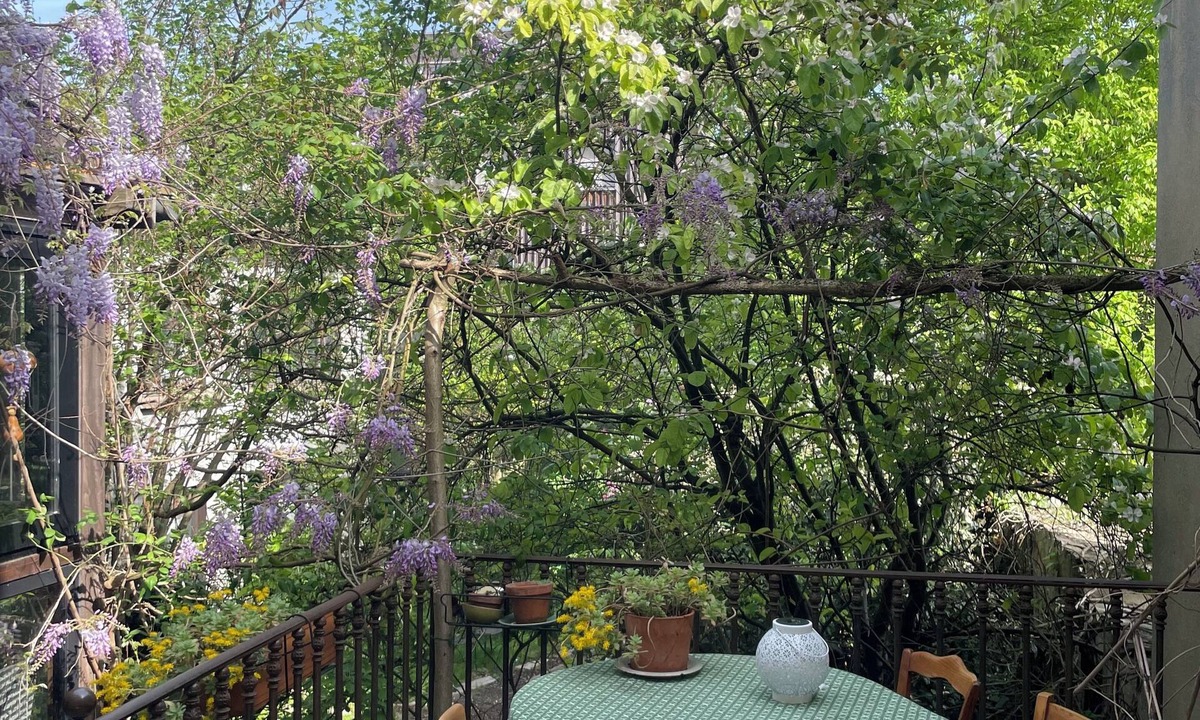 Les Lilas House | Large house with garden 2 steps from the metro.