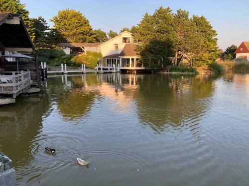 Le Touquet-Paris-Plage House | Large lakeside house - Mayvillage