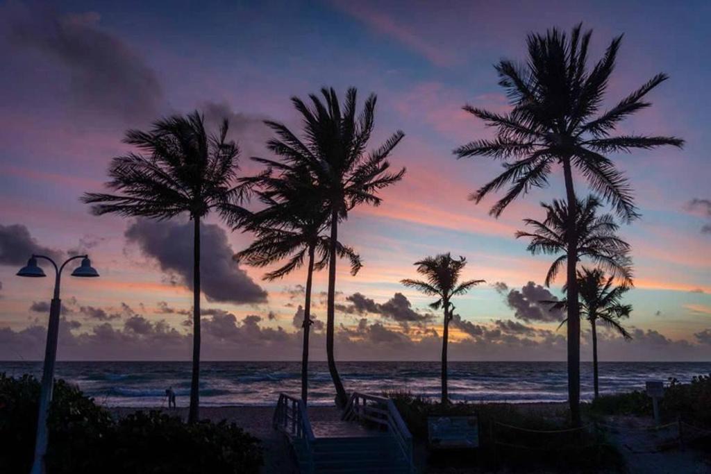 Hollywood Apartment | Large studio with kitchen, 2 beds, on the beach