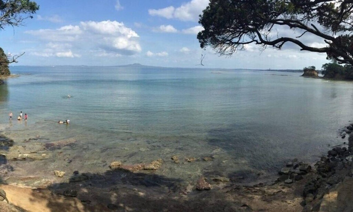 Torbay House | LARGE TORBAY HOME: Short walk to two beaches