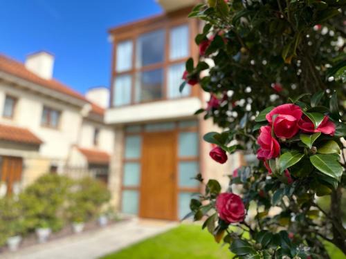 Somo House | "LAS CAMELIAS SOMO" un lugar para desconectar! Vistas al MAR!