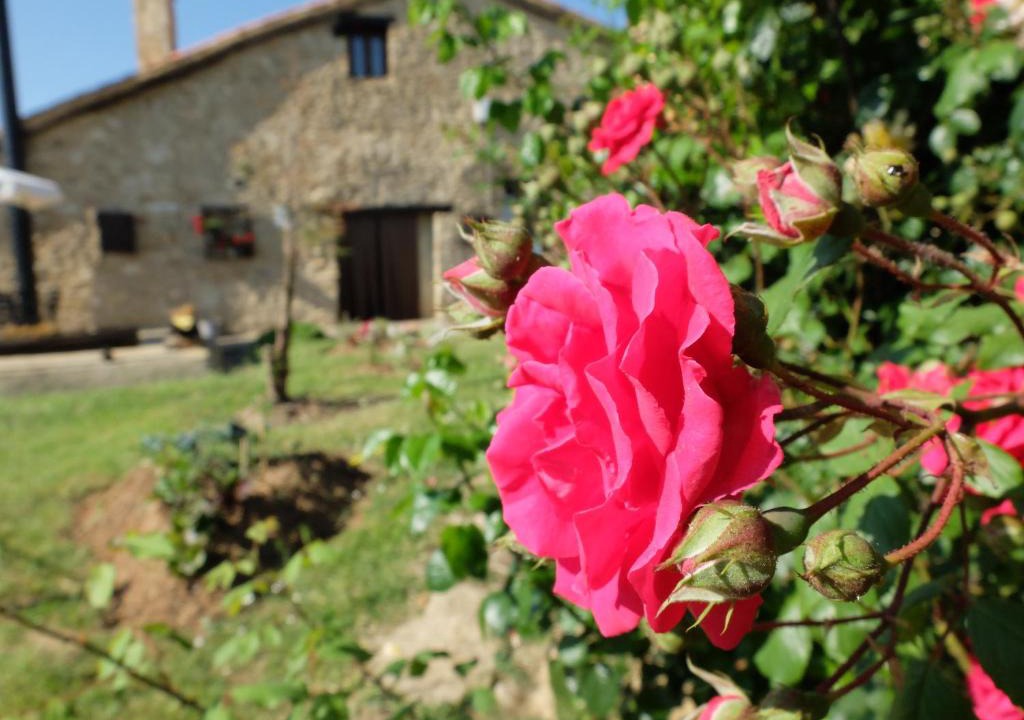 Jabaloyas House | Las Leyendas del Jabal