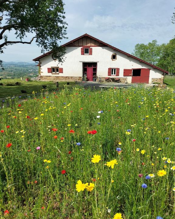 Ilharre Bed & Breakfast | Lastalia