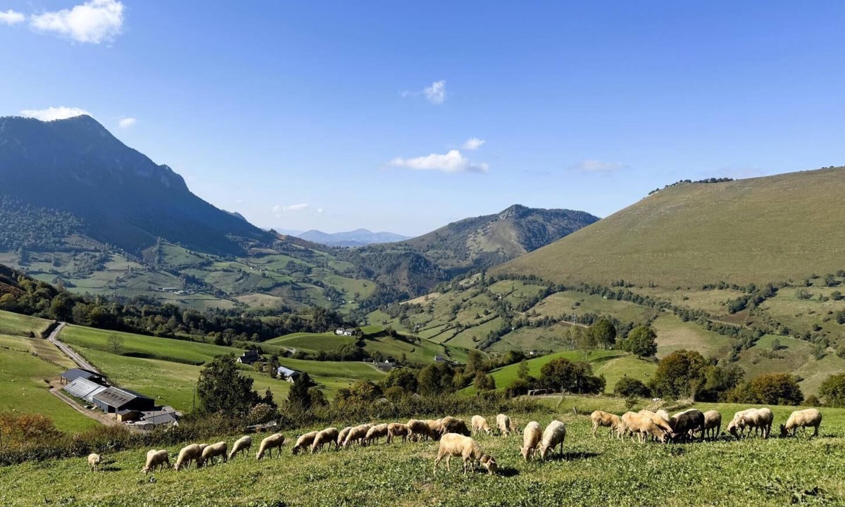 Lourdios-Ichere House | Lauseig - Lourdios Ichere