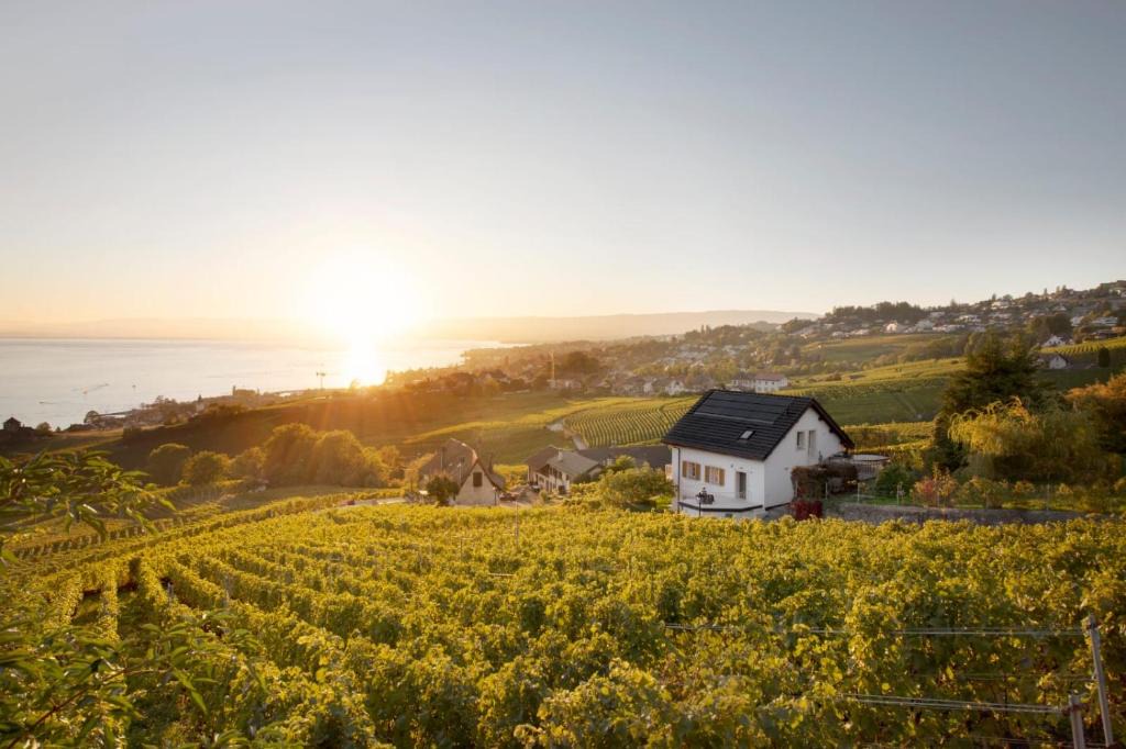 Lutry House | #Lavaux