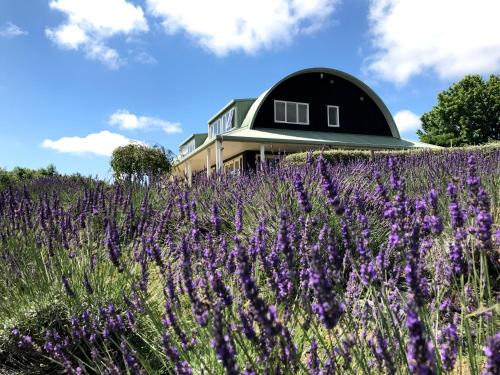 Riverhead Bed & Breakfast | Lavender Hill